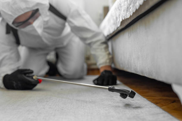 Professional Cockroach Control technician working in Franklin, NJ