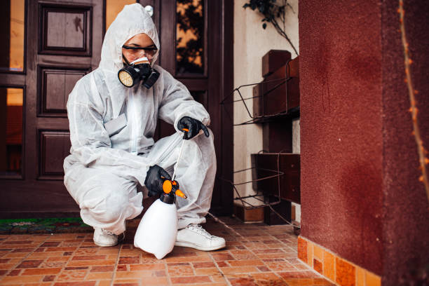 Reliable Cockroach Control contractor in Franklin, NJ by Nex Pest Control